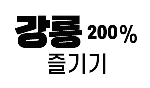 강릉200%
